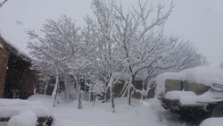برف مناطقی از غرب و جنوب اصفهان را سفیدپوش کرد/ کاهش تا ۸ درجه‌ای دما