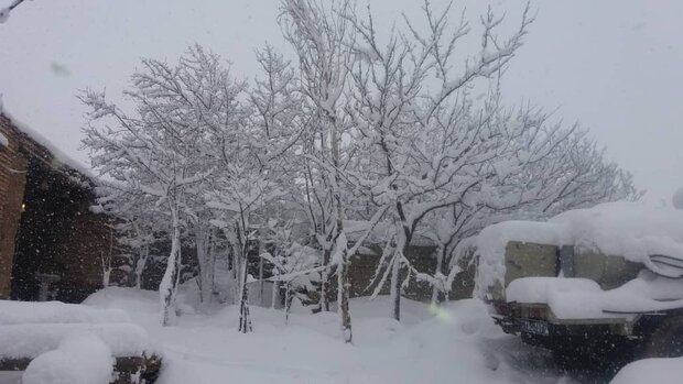 برف مناطقی از غرب و جنوب اصفهان را سفیدپوش کرد