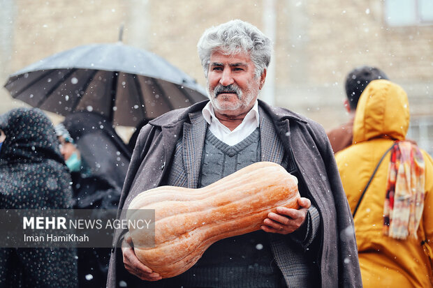 جشنواره کدو در تفریجان برگزار می شود