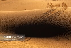 باقة أسبوعية من التقارير المصورة لوكالة مهر للأنباء