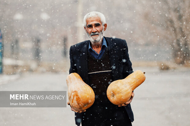 باقة أسبوعية من التقارير المصورة لوكالة مهر للأنباء