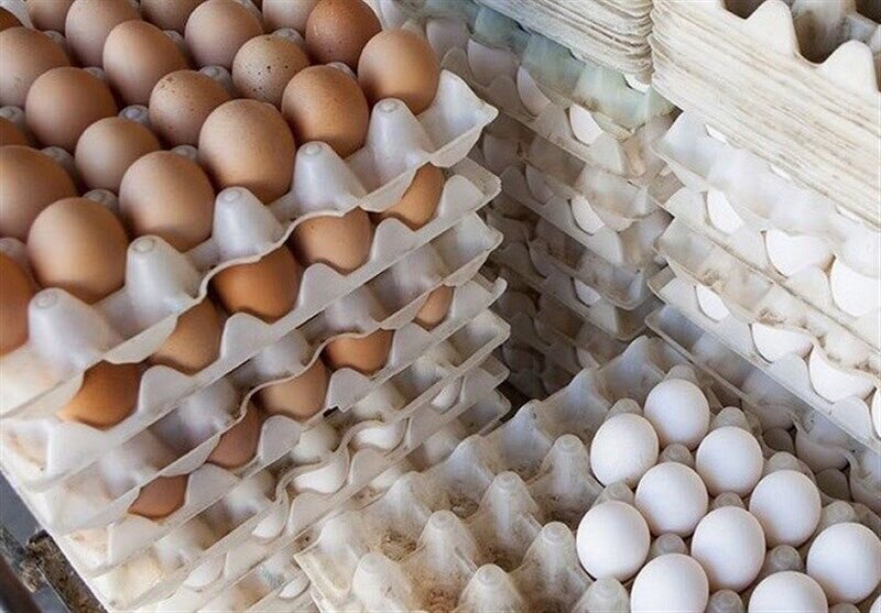 دلایل افزایش قیمت تخم مرغ/تولید در ایده آل ترین شرایط است