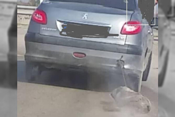 راننده حیوان‌آزار در رامیان دستگیر شد
