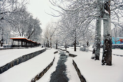Snow blankets Hamadan in midwinter