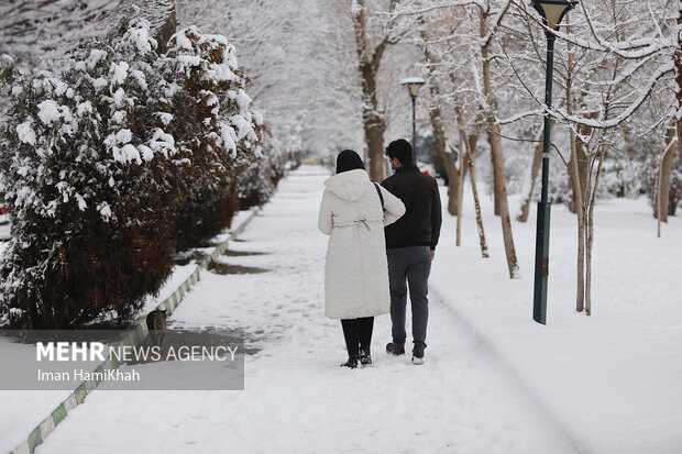 Snow blankets Hamadan in midwinter 