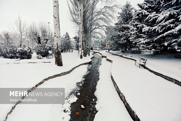 بیشترین بارش در حوضه آبریز خلیج فارس و دریای عمان