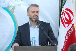 برنامه‌ریزی برای حمایت از اقتصاد فرهنگ و هنر در همدان