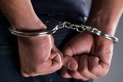 A team linked with US-based institute detained in Iran