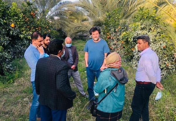خرمای پیارم به عنوان پایلوت بکارگیری دانش فنی سوئیسی‌ها انتخاب شد