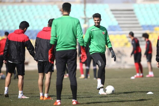 چالش «شماره یک» برای گلمحمدی / قفس توری پرسپولیس لرزان است! 2