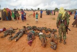 7 al-Shabaab terrorists killed in Somalia