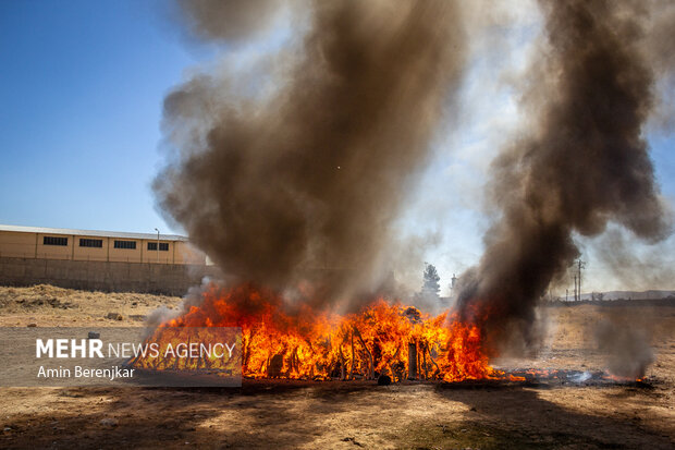 Iran Police destroy over 18 tons of illicit drugs in Shiraz
