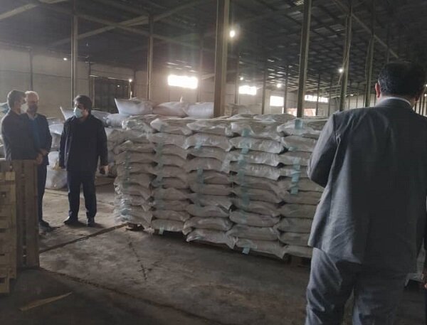 آغاز توزیع ۲ هزار تُن بذر گواهی شده برنج در استان گیلان