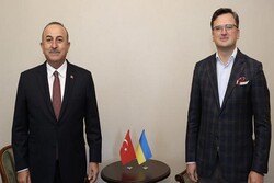 Çavuşoğlu, Ukraynalı mevkidaşı ile görüştü
