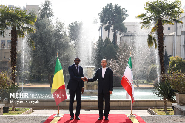 FM Amir-Abdollahian meets Malian counterpart in Tehran