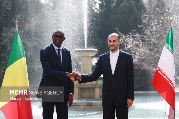 دیدار وزرای امور خارجه ایران و مالی