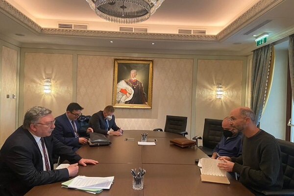 Ulyanov holds talks with E3, US heads at Vienna talks