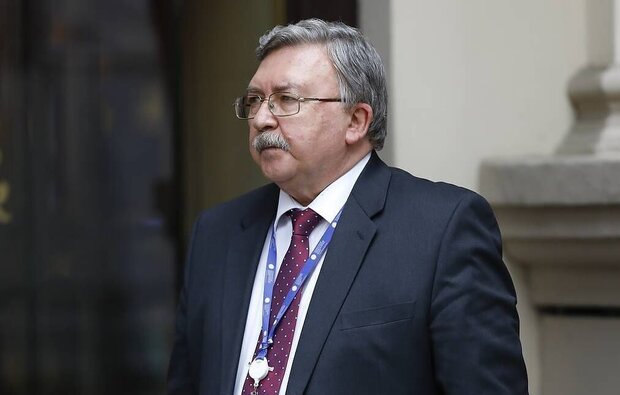Significant progresses made in Vienna talks: Ulyanov
