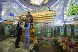 Decorating Imam Ali (PBUH) holy shrine with flowers
