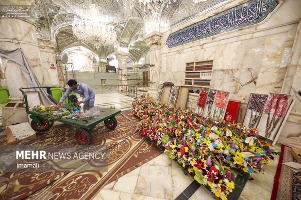 Decorating Imam Ali (PBUH) holy shrine with flowers
