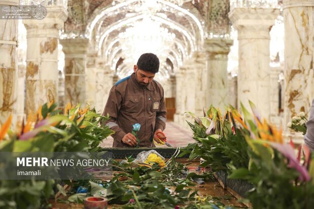 Decorating Imam Ali (PBUH) holy shrine with flowers
