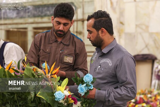 Decorating Imam Ali (PBUH) holy shrine with flowers
