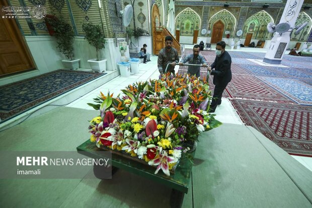 Decorating Imam Ali (PBUH) holy shrine with flowers
