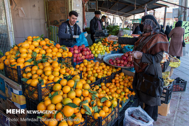 کاهش ۵۰ درصدی سهمیه کرج در عرضه سیب و پرتقال شب عید