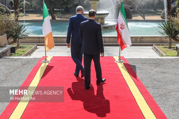 حسین امیر عبدالهیان وزیر امور خارجه کشورمان و سایمون کابوونی وزیر امور خارجه ایرلند بعد از ظهر روز دوشنبه ۲۵ بهمن دیدار و گفتگو کردند