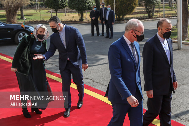 حسین امیر عبدالهیان وزیر امور خارجه کشورمان و سایمون کابوونی وزیر امور خارجه ایرلند بعد از ظهر روز دوشنبه ۲۵ بهمن دیدار و گفتگو کردند