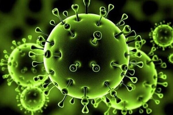 ۴۲۲ مورد جدید مبتلا به کرونا ویروس در ایلام شناسایی شد