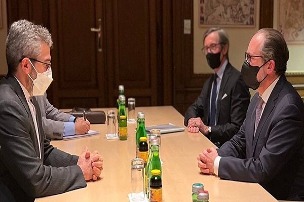 Iran's Bagheri Kani meets Austrian FM on bilateral ties