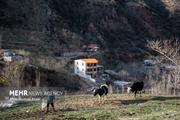 ساخت وسازهای غیرقانونی در روستای زیارت گرگان