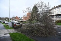 Roofs torn off, huge trees fall in 120MPH wind in UK