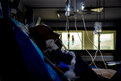 ۸۷ بیمار جدید مبتلا به کرونا در فارس بستری شدند