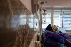۷۰ بیمار جدید کرونایی در مراکز درمانی مشهد بستری شدند