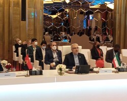 العقوبات المفروضة على أعضاء منتدى الدول المصدرة للغاز يزعزع الاستقرار في سوق الطاقة