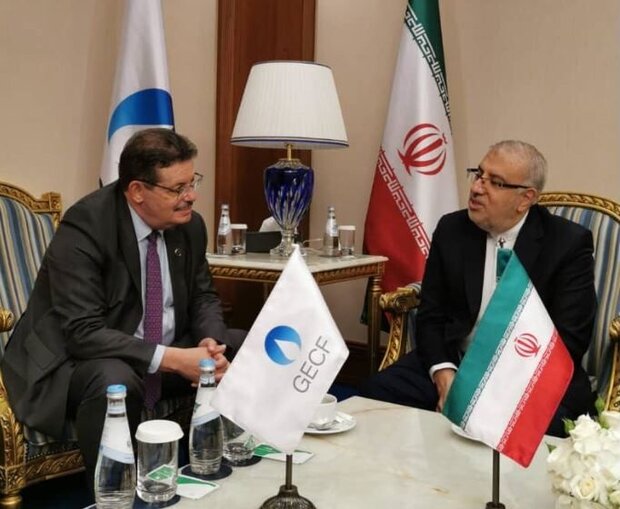 Iran oil min. holds meeting with GECF Secretary-General 