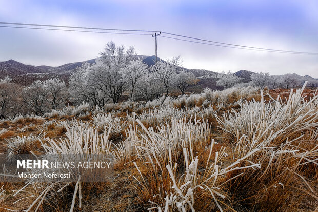 Ice crystals beautify nature in Khorasan Razavi province