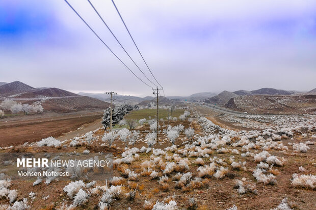 Ice crystals beautify nature in Khorasan Razavi province