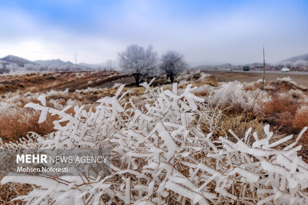 Ice crystals beautify nature in Khorasan Razavi province