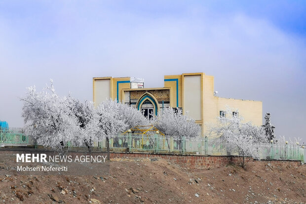 Ice crystals beautify nature in Khorasan Razavi province