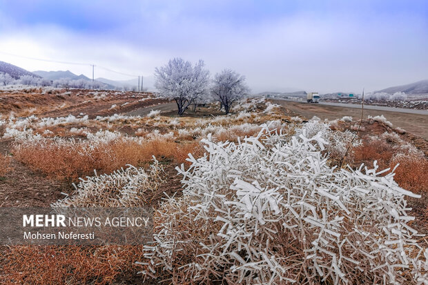 Ice crystals beautify nature in Khorasan Razavi province