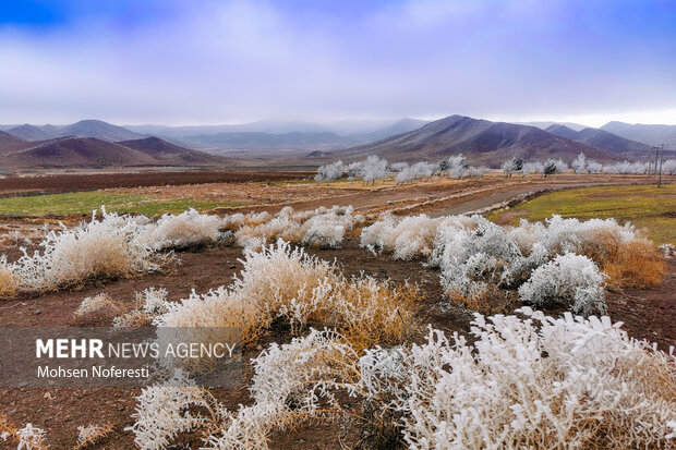 Ice crystals beautify nature in Khorasan Razavi province