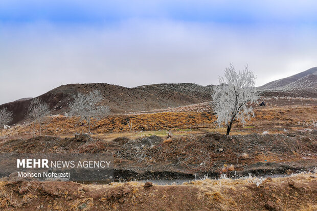 Ice crystals beautify nature in Khorasan Razavi province