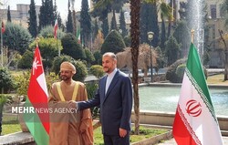 امیرعبداللہیان کے ساتھ عمان کے وزیر خارجہ کی ملاقات اور گفتگو