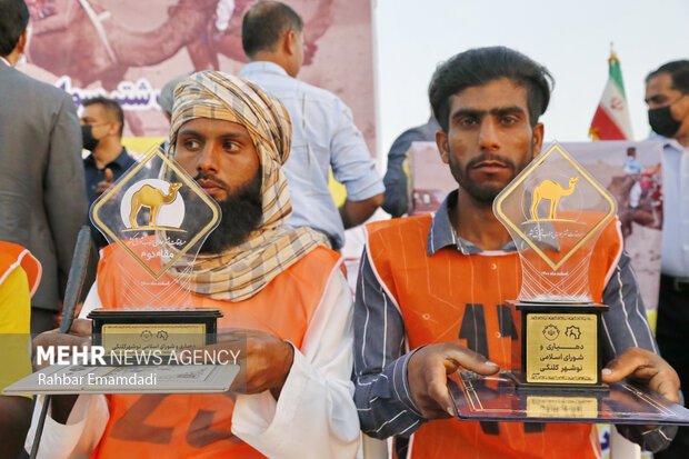 Camel racing in Hormozgan