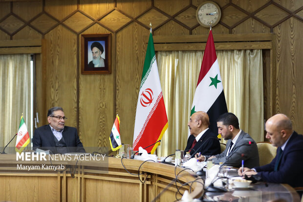 علی مملوک رئیس دفتر امنیت ملی سوریه  و علی شمخانی دبیر شورای عالی امنیت ملی ایران دیدار  و گفتگو کردند