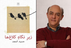 رمان جدید حمید امجد منتشر شد/«زیر نگاه کلاغ ها» در کتابفروشی ها