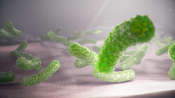 بررسی علمی بیماری «هلیکوباکترپیلوری» در انتقال باکتری